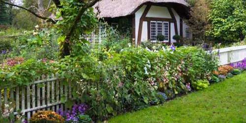 Farbenfroher Cottage Garten