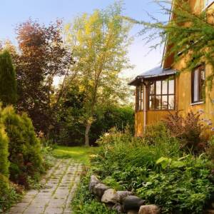 Heimische Pflanzen und Gehölze für Ihren Garten - Heimische Pflanzen und Gehölze | GartenHit24