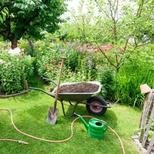Pflegeleichte Gärten gestalten - Pflegeleichte Gärten gestalten |GartenHit24