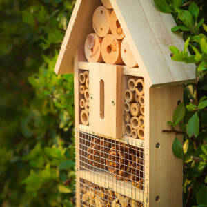 Ein Zuhause für Insekten schaffen – mit praktischen DIY-Tipps - DIY Tipps - Insektenhotel und Tränke