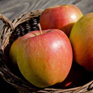 Der passende Apfel für deinen Garten – 8 (leckere) Sorten im Überblick - Der passende Apfel für deinen Garten – 8 (leckere) Sorten im Überblick