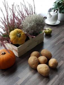 Wichtige Tipps für Ihren Gemüsegarten im November - Tipps für Ihren Gemüsegarten im November | GartenHit24